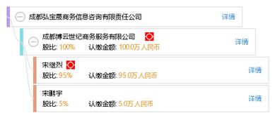 成都弘寶晟商務信息咨詢有限責任公司 專業(yè)商務咨詢服務的領航者